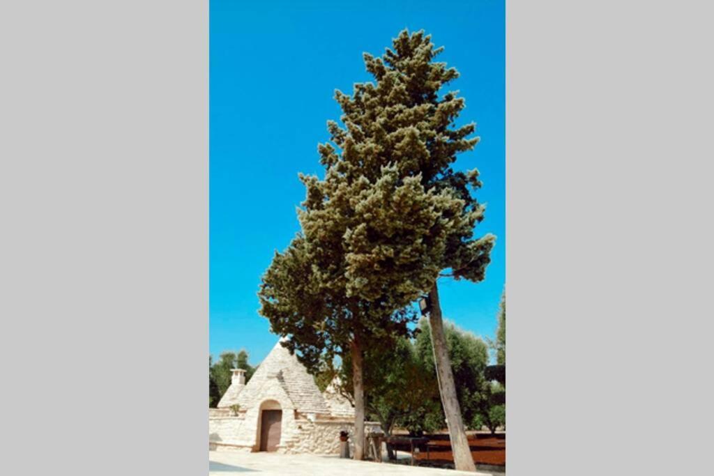 Trulli Monteforte Villa Castelli Exterior foto